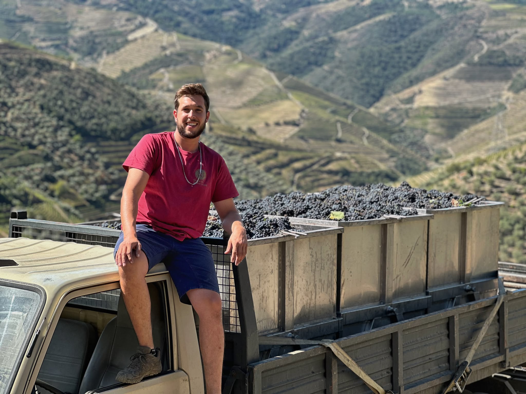 André Prado sentado numa carrinha carregada de uvas, com as vinhas do Douro em fundo
